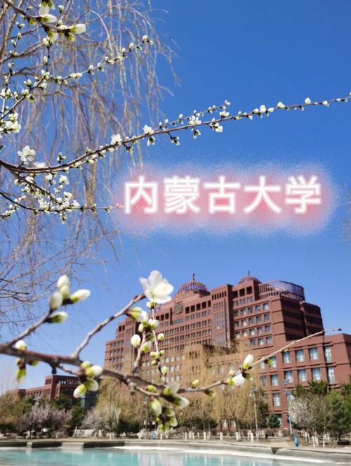 呼市二本大学有哪些