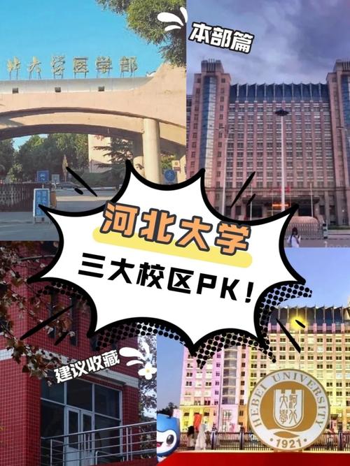 河北大学地址在哪里