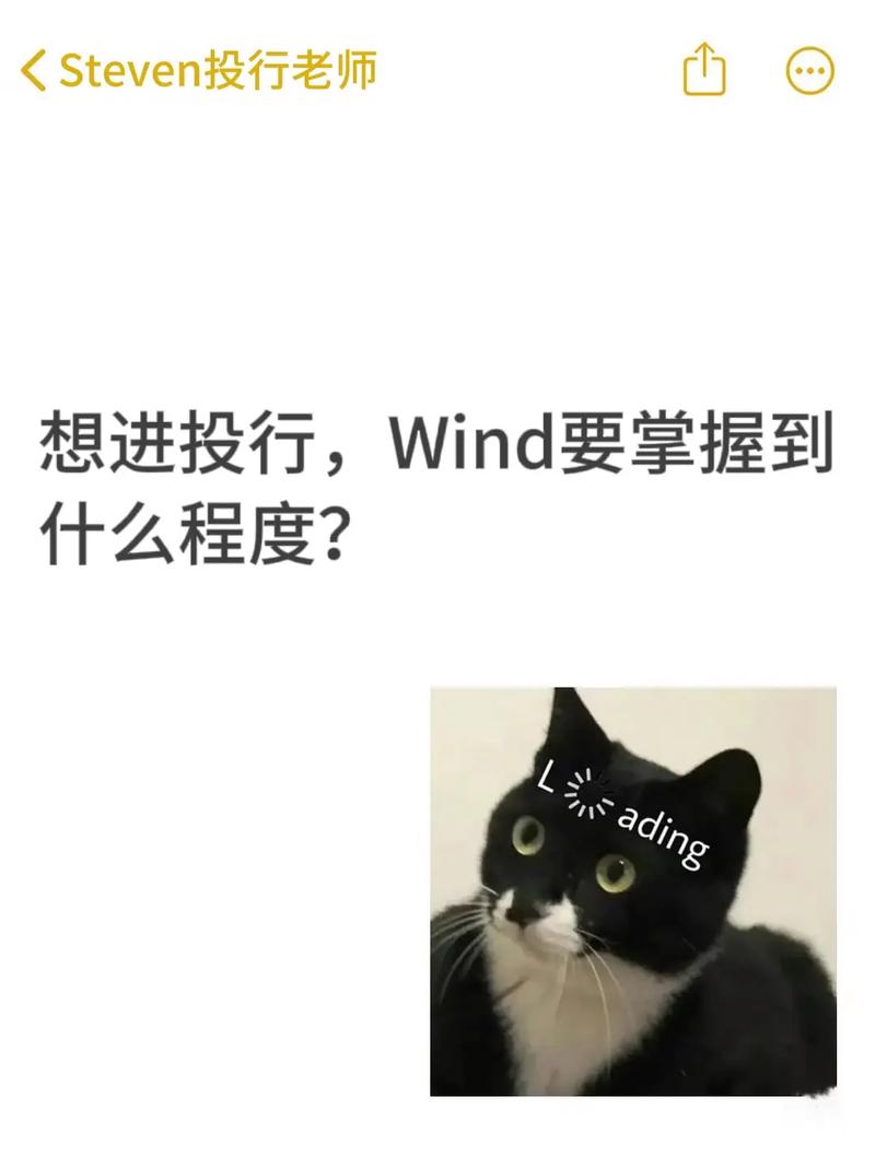 南大怎么用wind