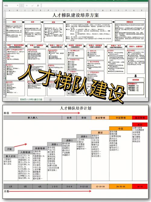 怎么培养高层次人才