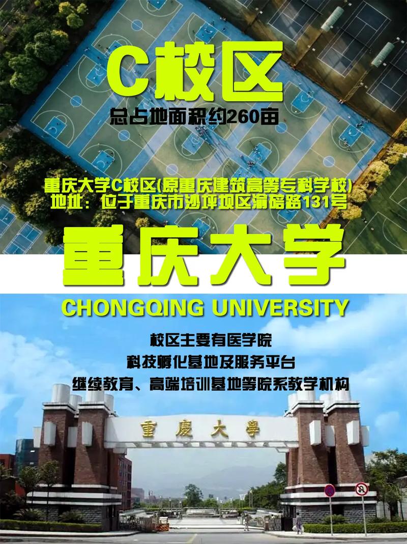 重庆大学校在哪里