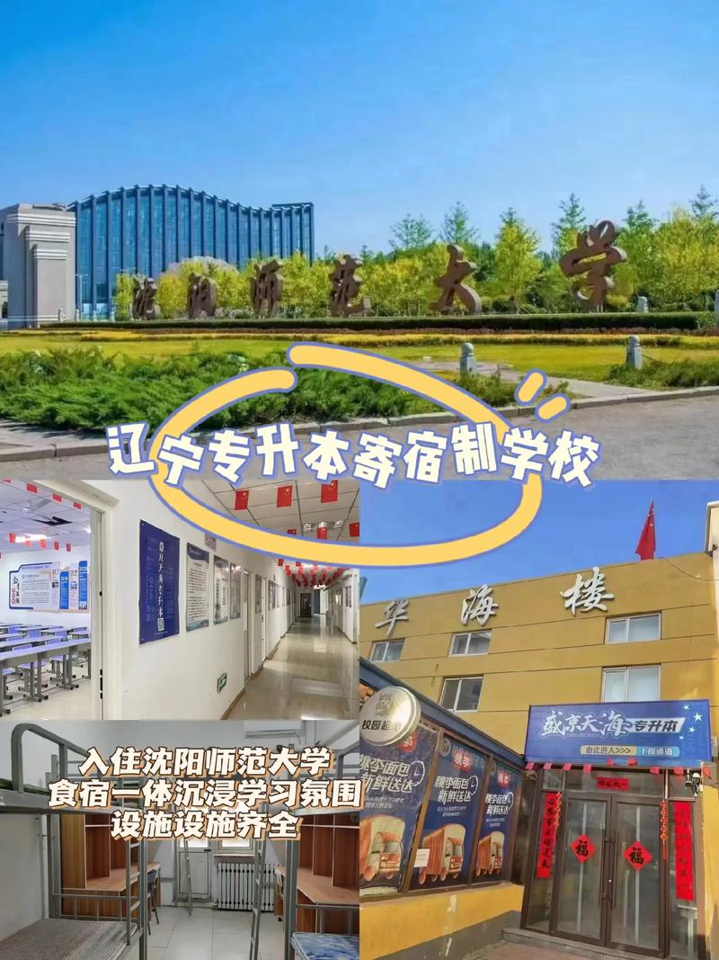 沈阳555能考什么大学