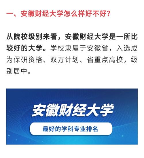 想上财经大学怎么选科