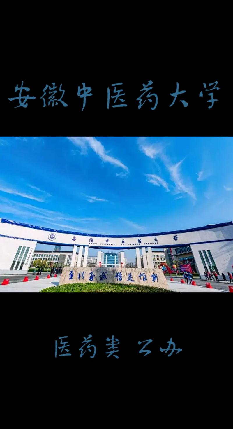 私立中医大学有哪些