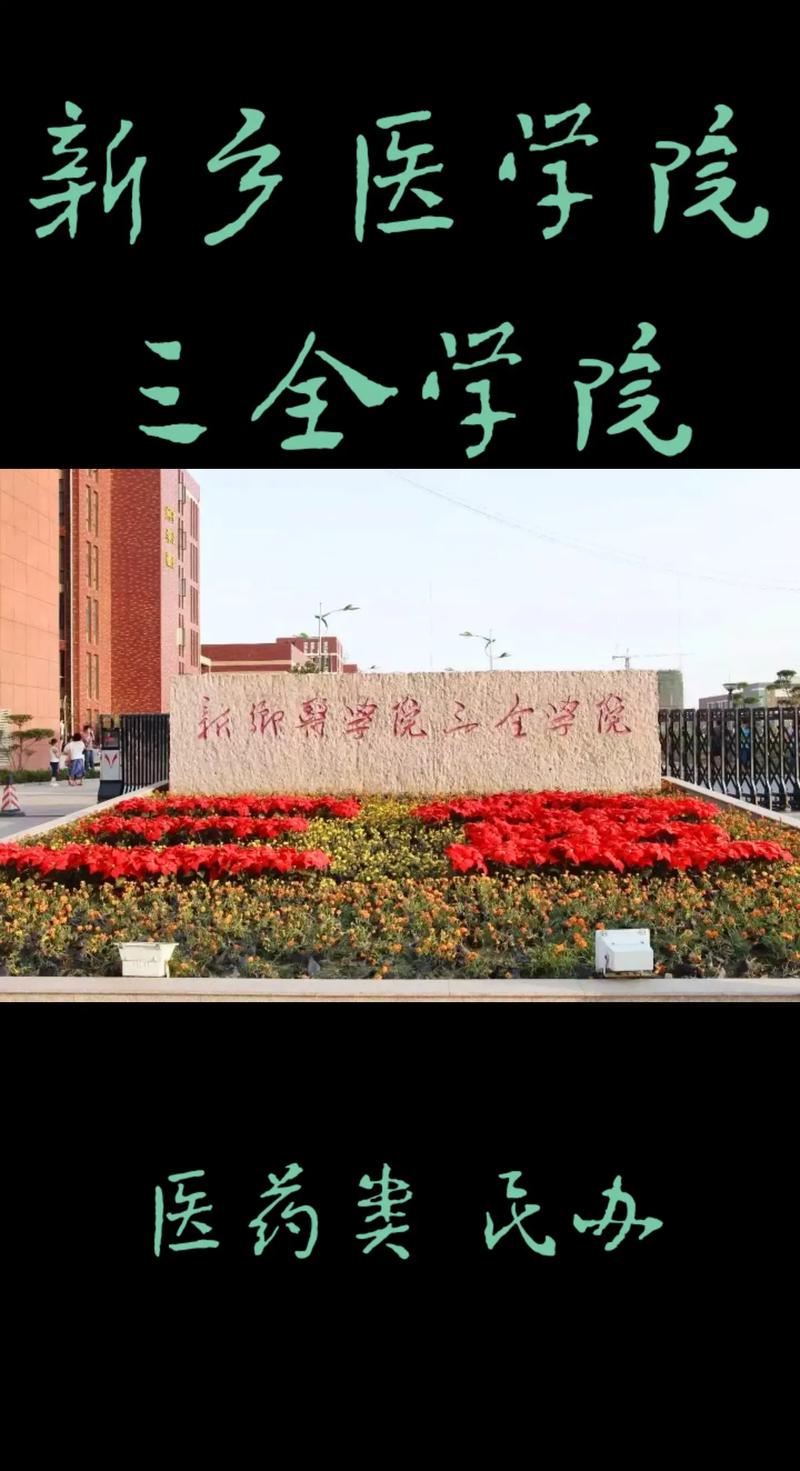 新乡附近有哪些大学