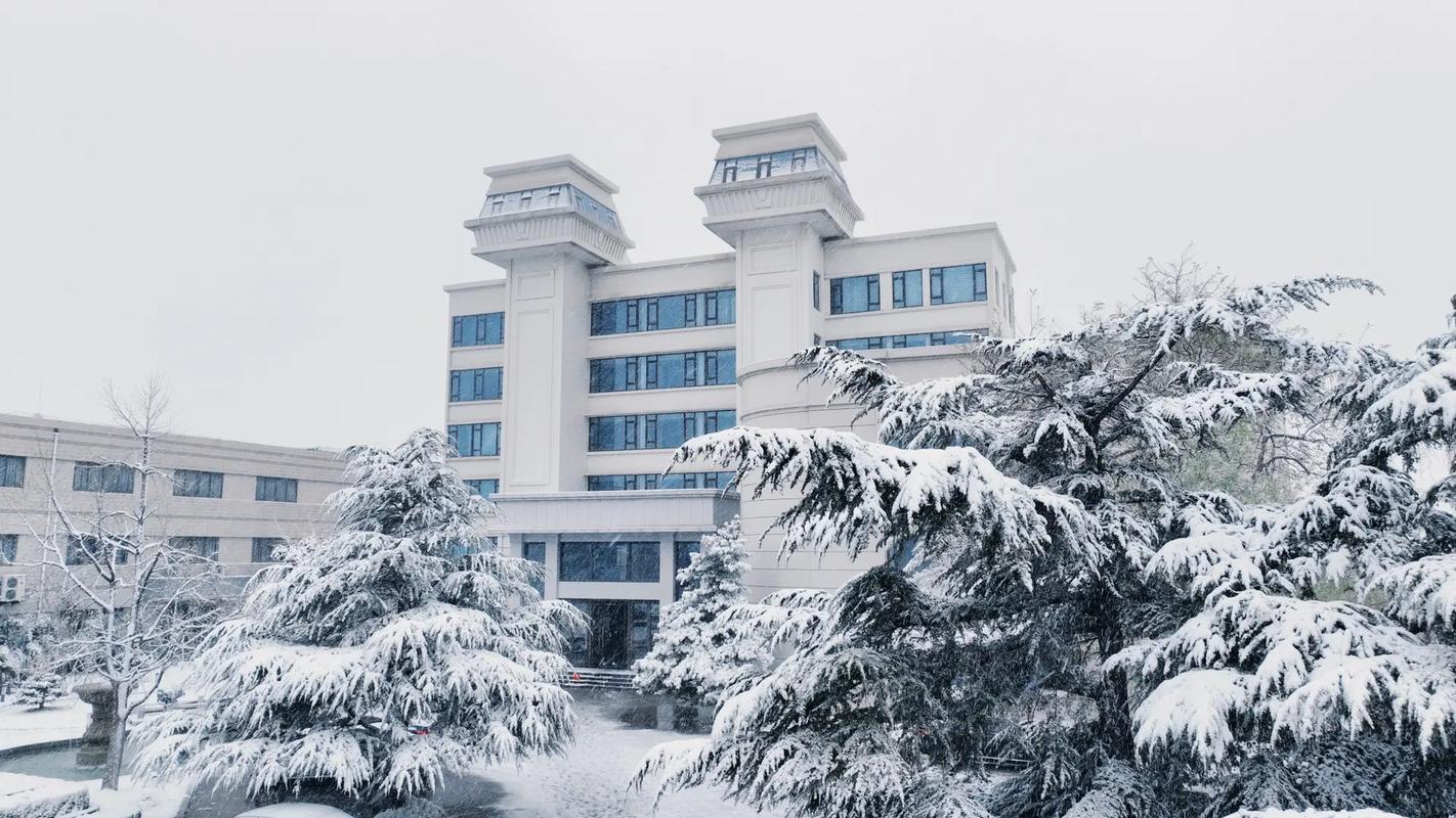 鲁泰纺织学院怎么样