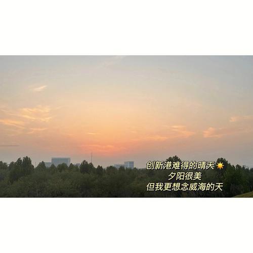 xjtu_stu怎么登陆