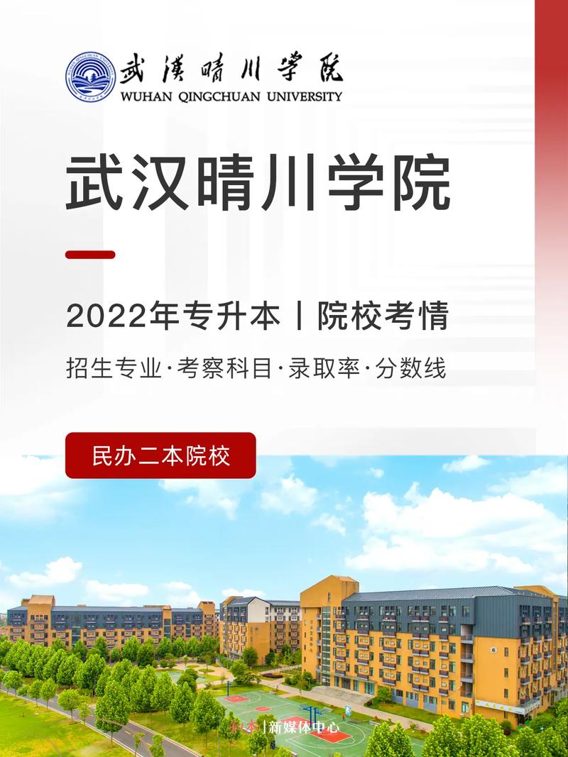 晴川大学有哪些专业