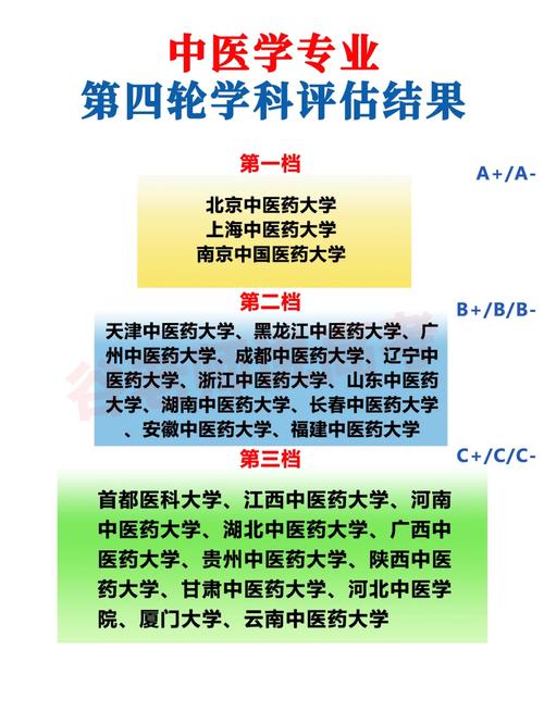 外国哪些大学有中医专业