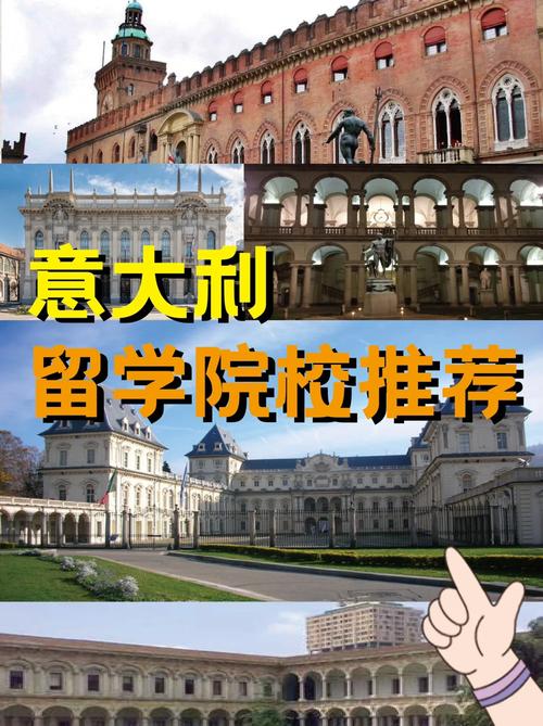 中意大学在哪里