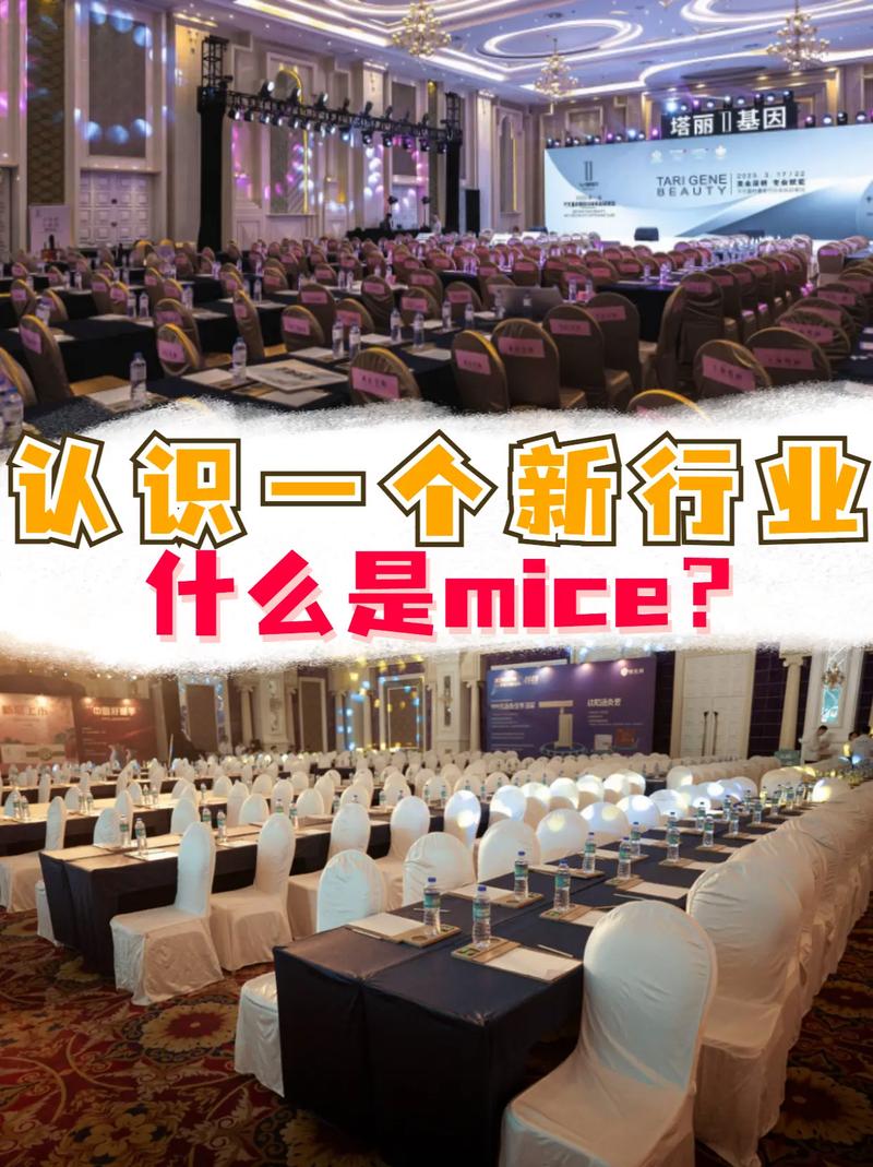 mice项目是什么意思