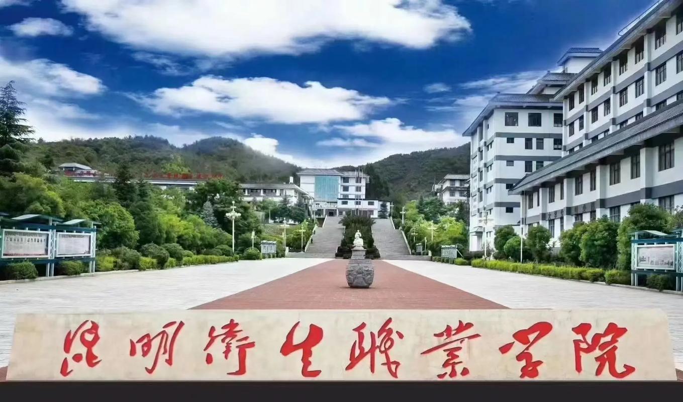 昆明有什么职业大学