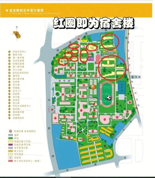 东华大学路线怎么走