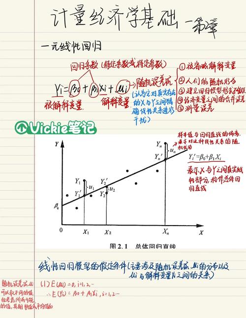 南开张晓峒怎么样