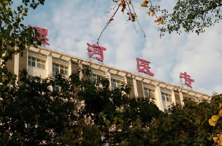 河南省漯河有什么大学