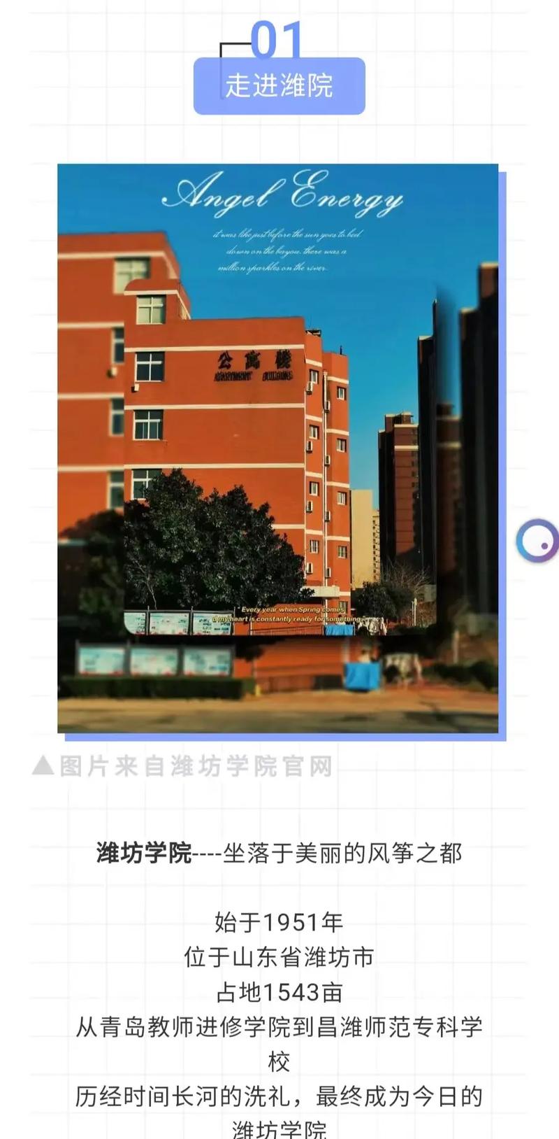 维方有哪些学院