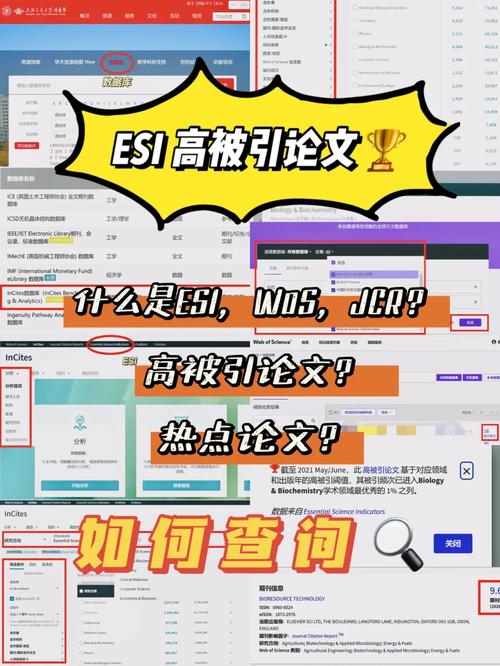 esi1  什么意思