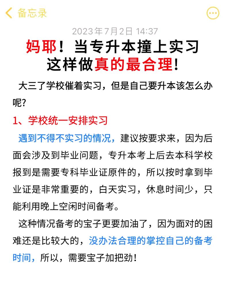 专升本学校要实习怎么搞