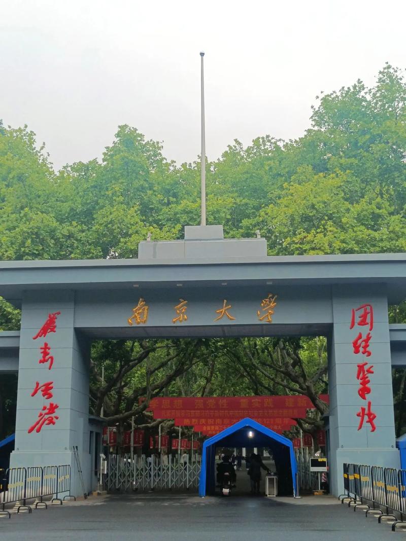 什么学校离南大近