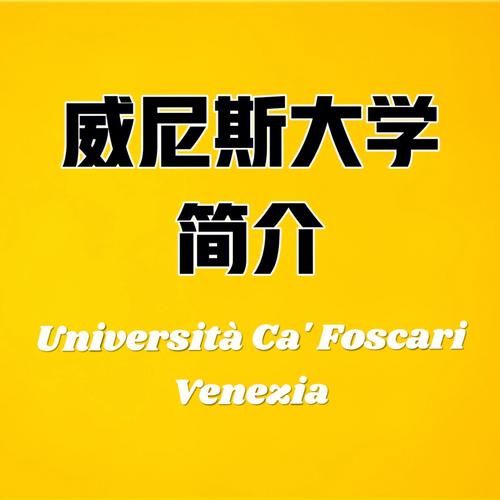 威尼斯有哪些公立大学