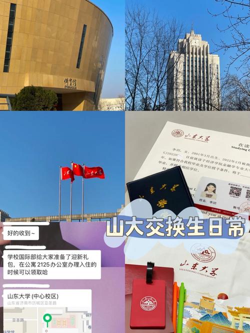 济南什么大学有交换生