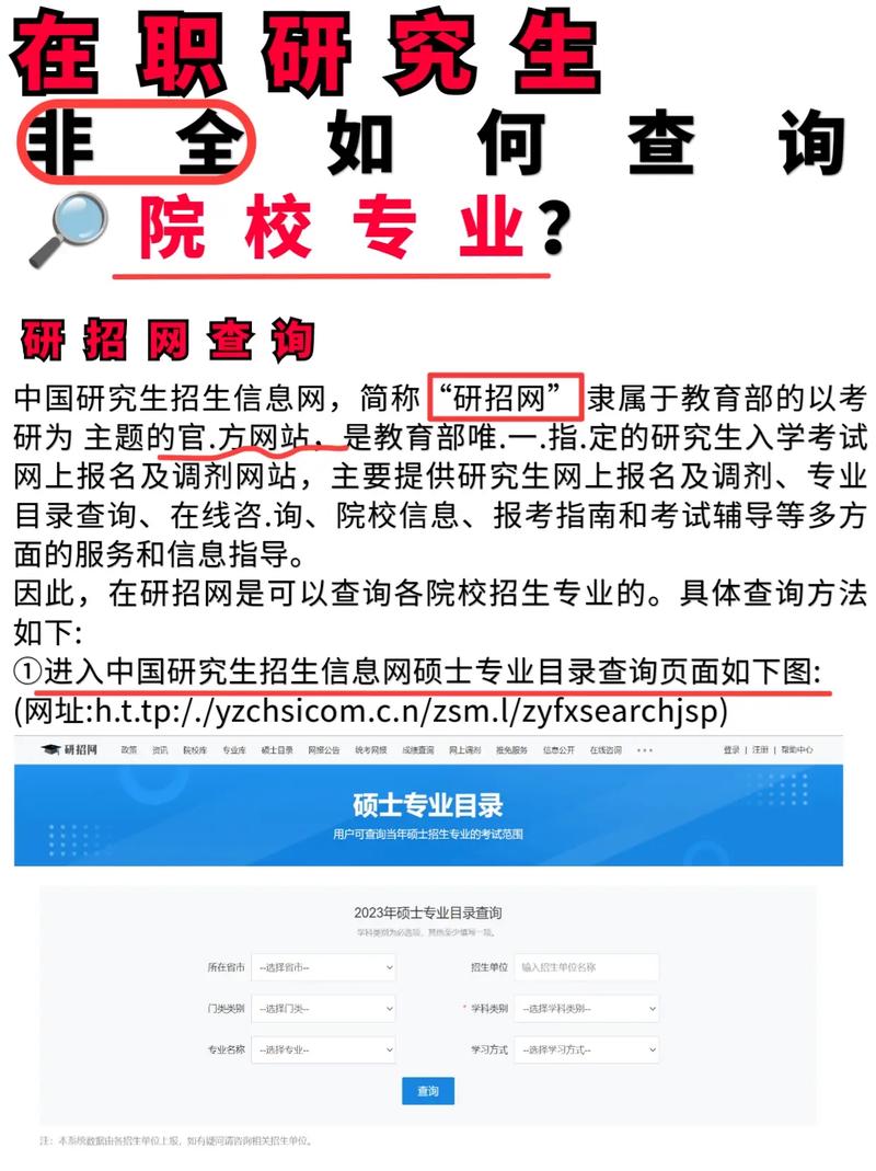 怎么查录取大学的专业