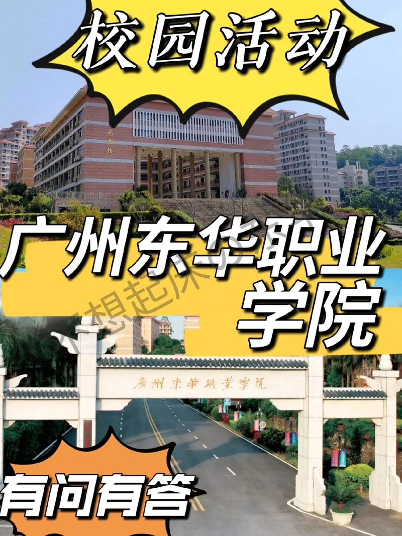 东华新开的学校在哪里