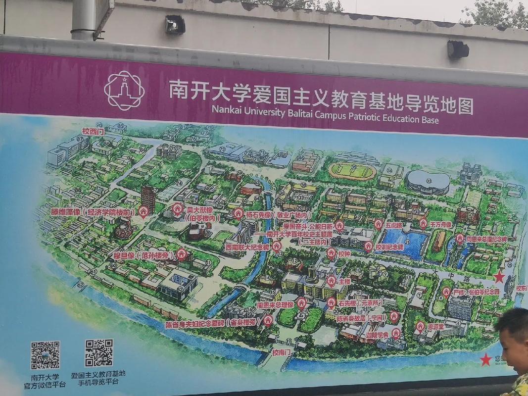 南南开大学在哪里