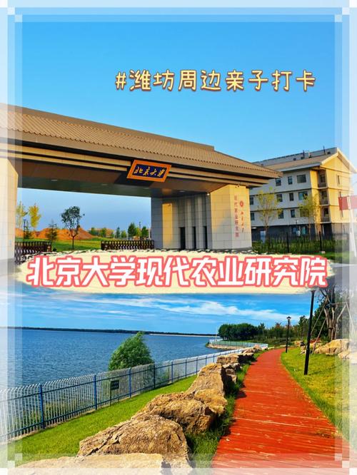 东北大学潍坊在哪里