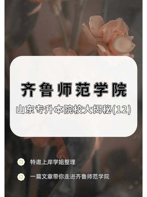 齐鲁师范的专科怎么样