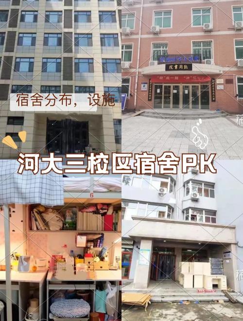 河北大学床位怎么排