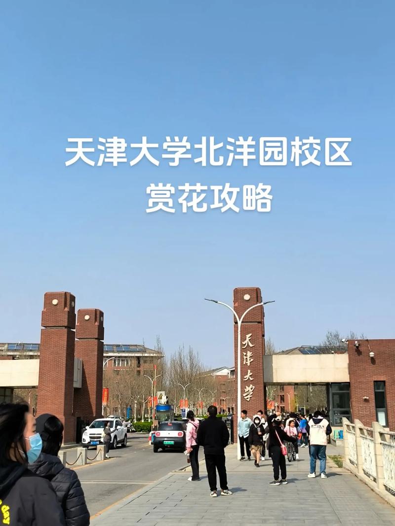 天津综合大学有哪些