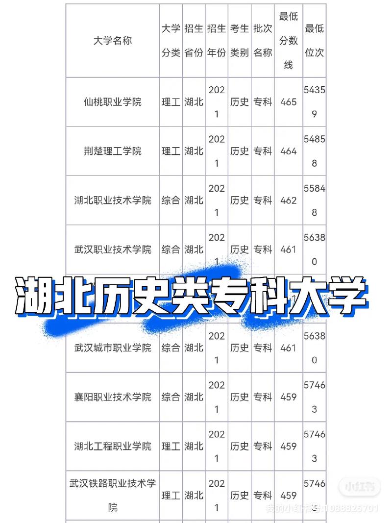 湖北448分能报什么大学