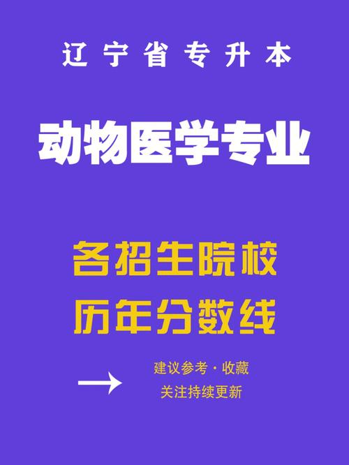 动物医学评估与调整怎么写