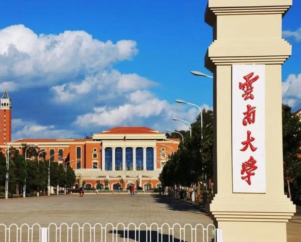 云南文科大学叫什么