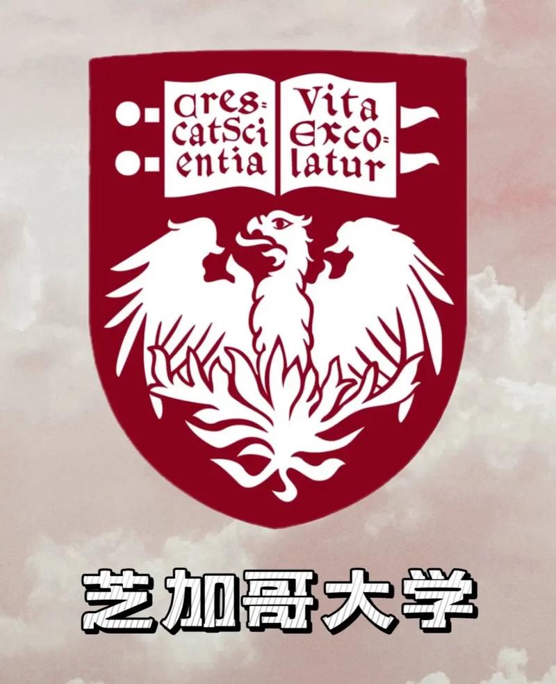 美国芝加哥大学在哪里