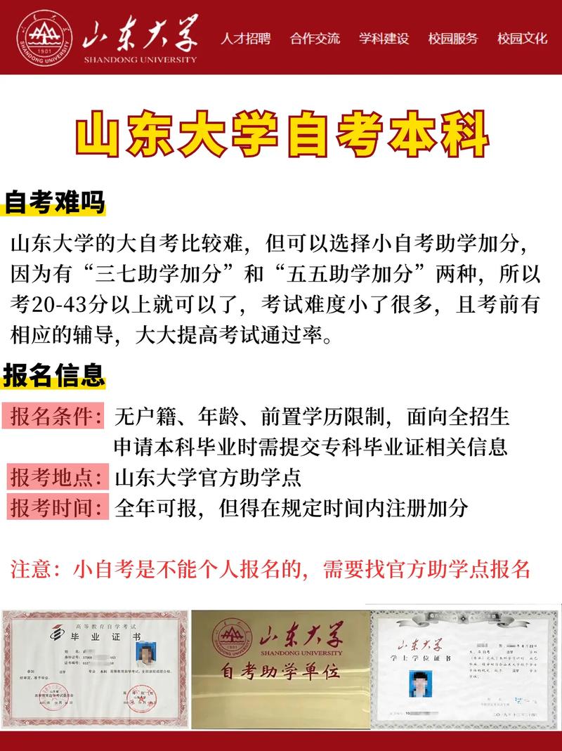 山东大学开设哪些专业