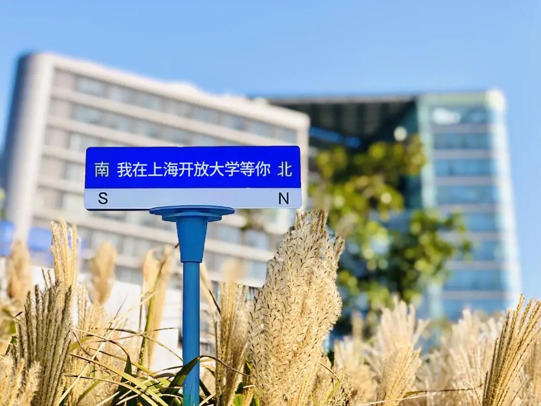 大学上海有哪些大学