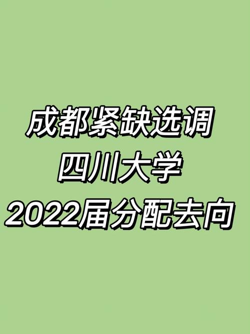 川大选调被分到哪里