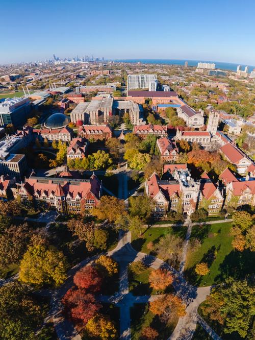 芝加哥的市区有哪些大学