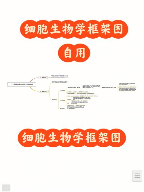 生物细胞学怎么学