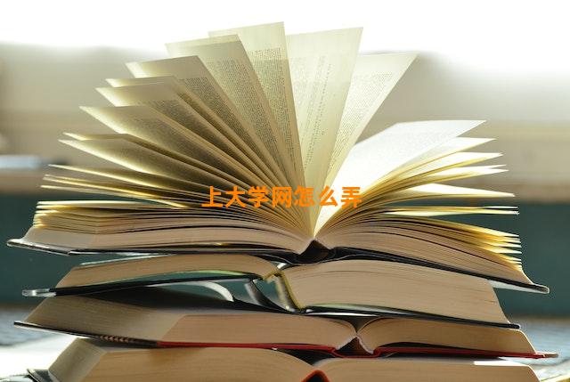 上大学网怎么弄