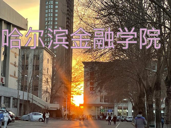 哈金融什么时候升大学