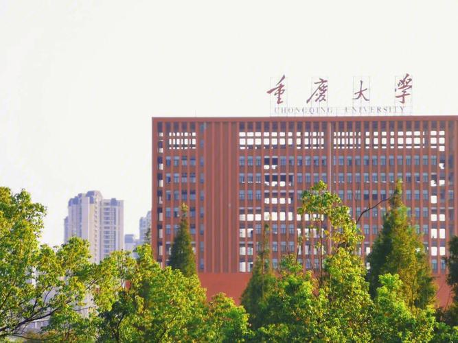 重庆大学属于什么升