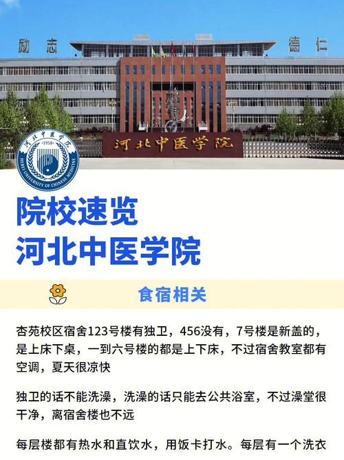 安国什么时候有大学