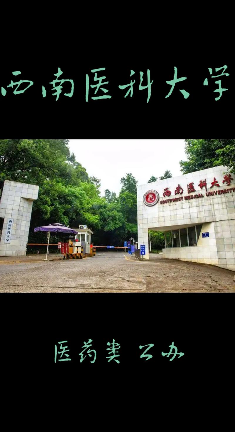 成都有什么医学高等大学