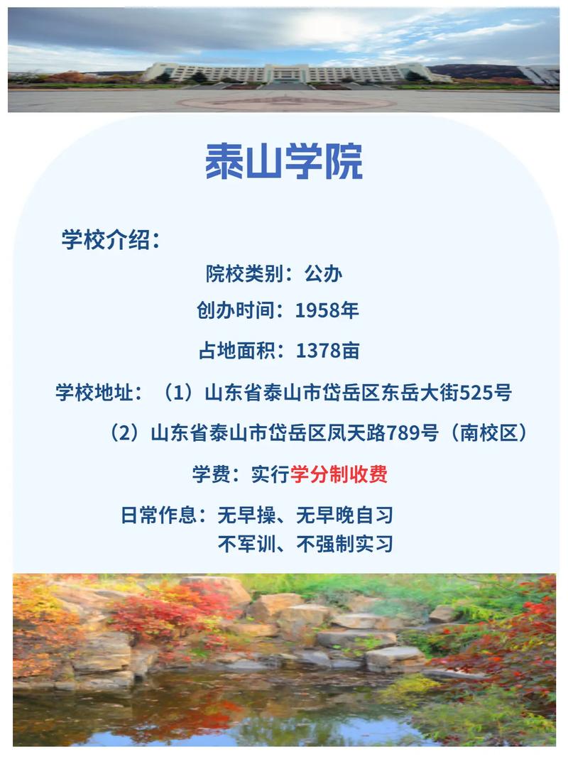 山东泰山旁边有什么大学