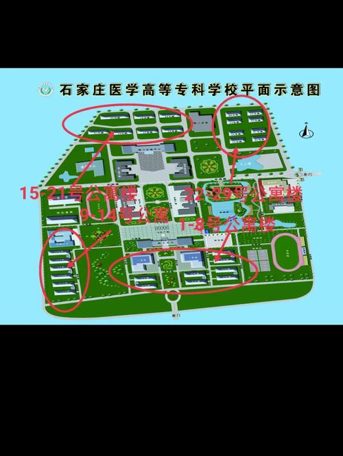 石家庄大学信息地址在哪里