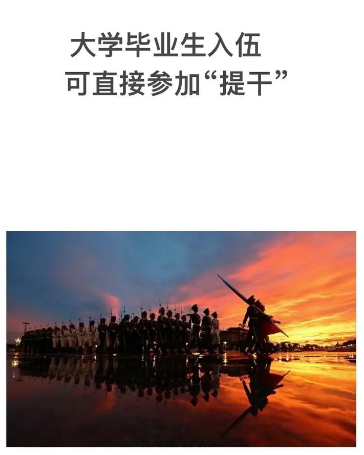 大学生士兵提干学什么