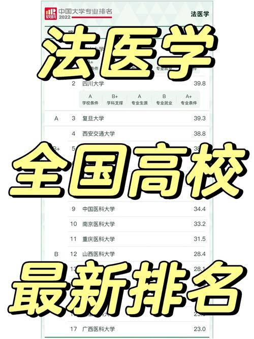 法医学大学做什么